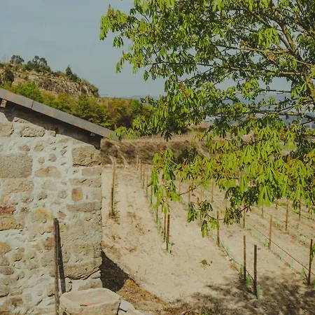 The FarmHouse I - Uma quinta deslumbrante Felgueiras Extérieur photo