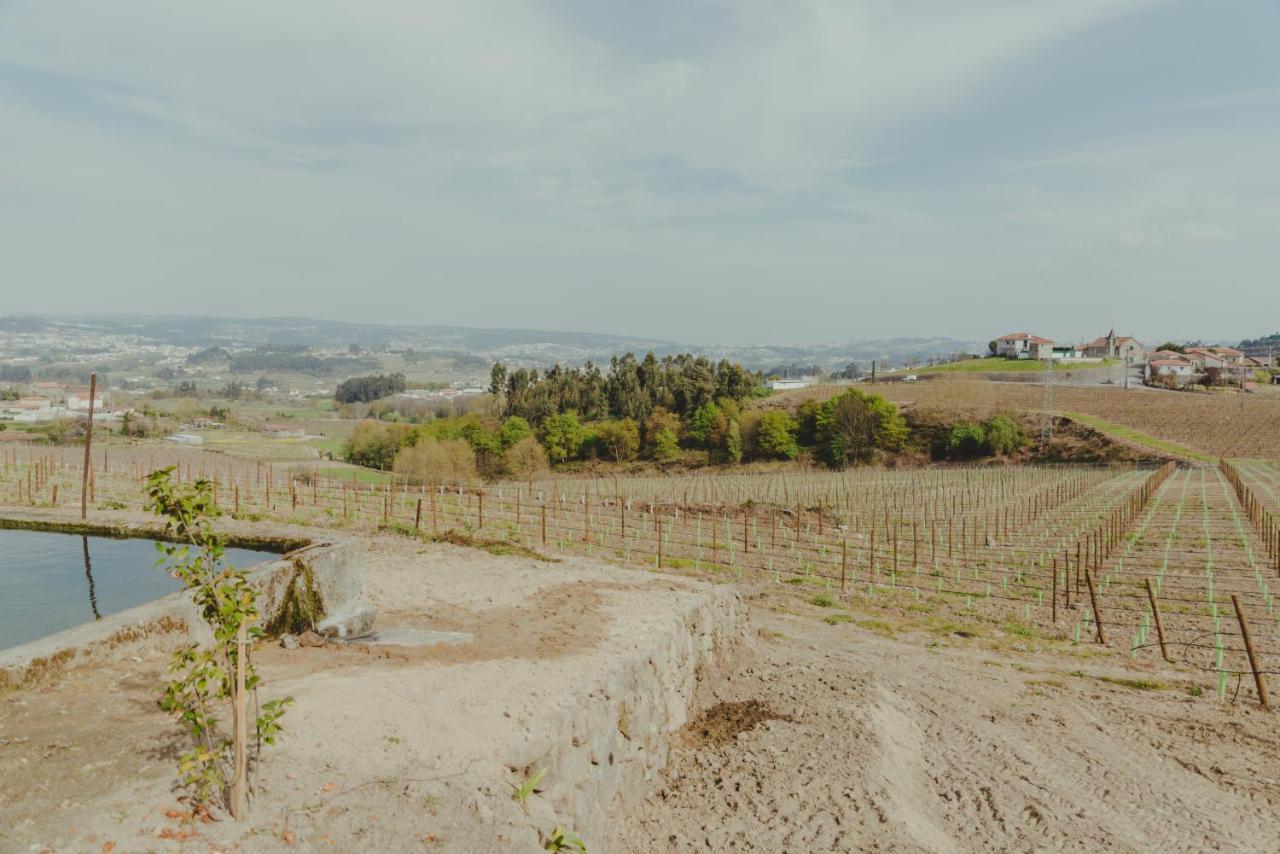 Hébergement de vacances The I - Uma Quinta Deslumbrante Felgueiras