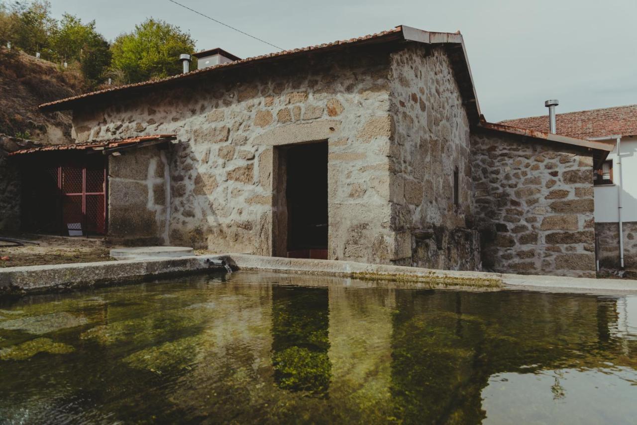 Hébergement de vacances The I - Uma Quinta Deslumbrante *