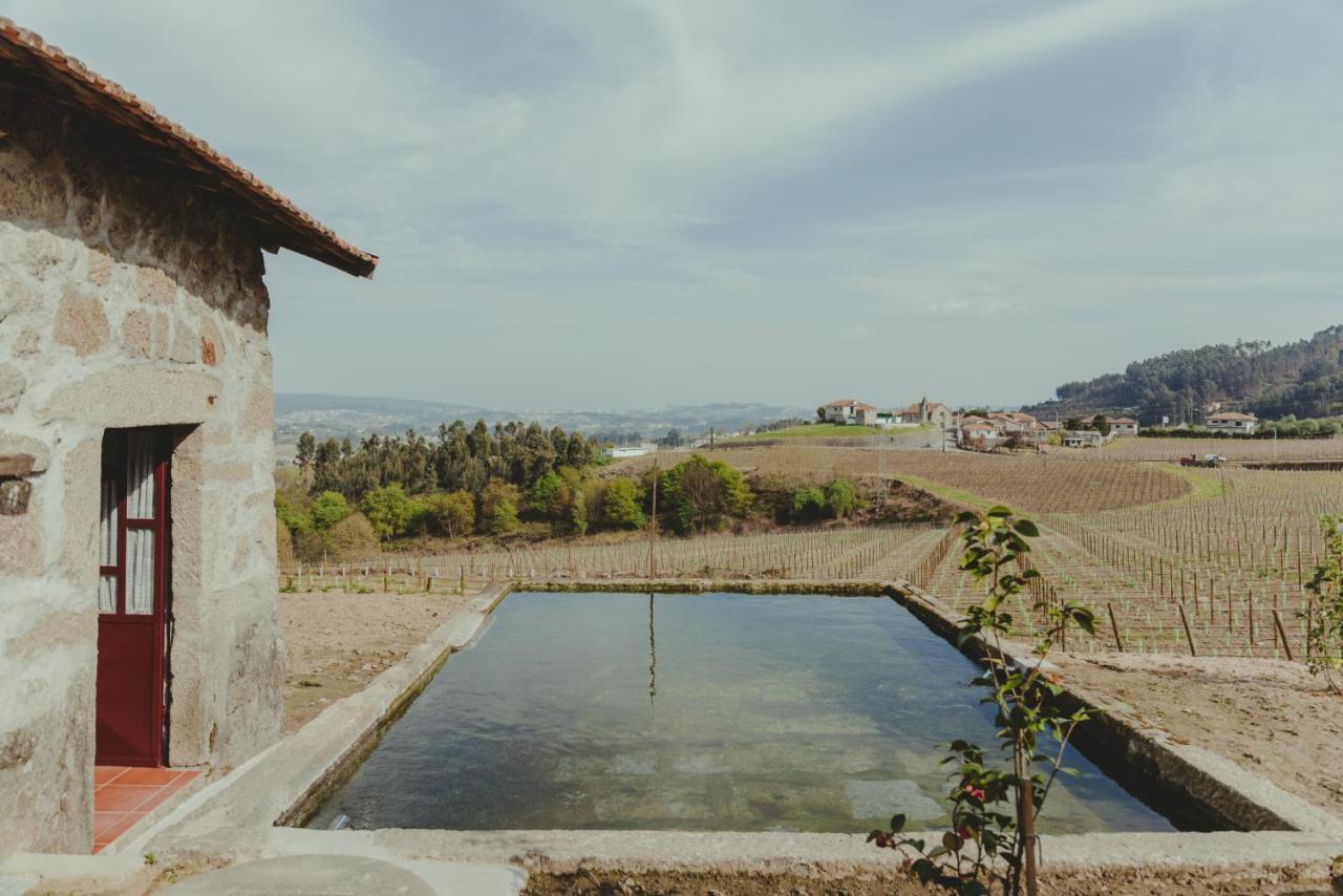 The I - Uma Quinta Deslumbrante Felgueiras