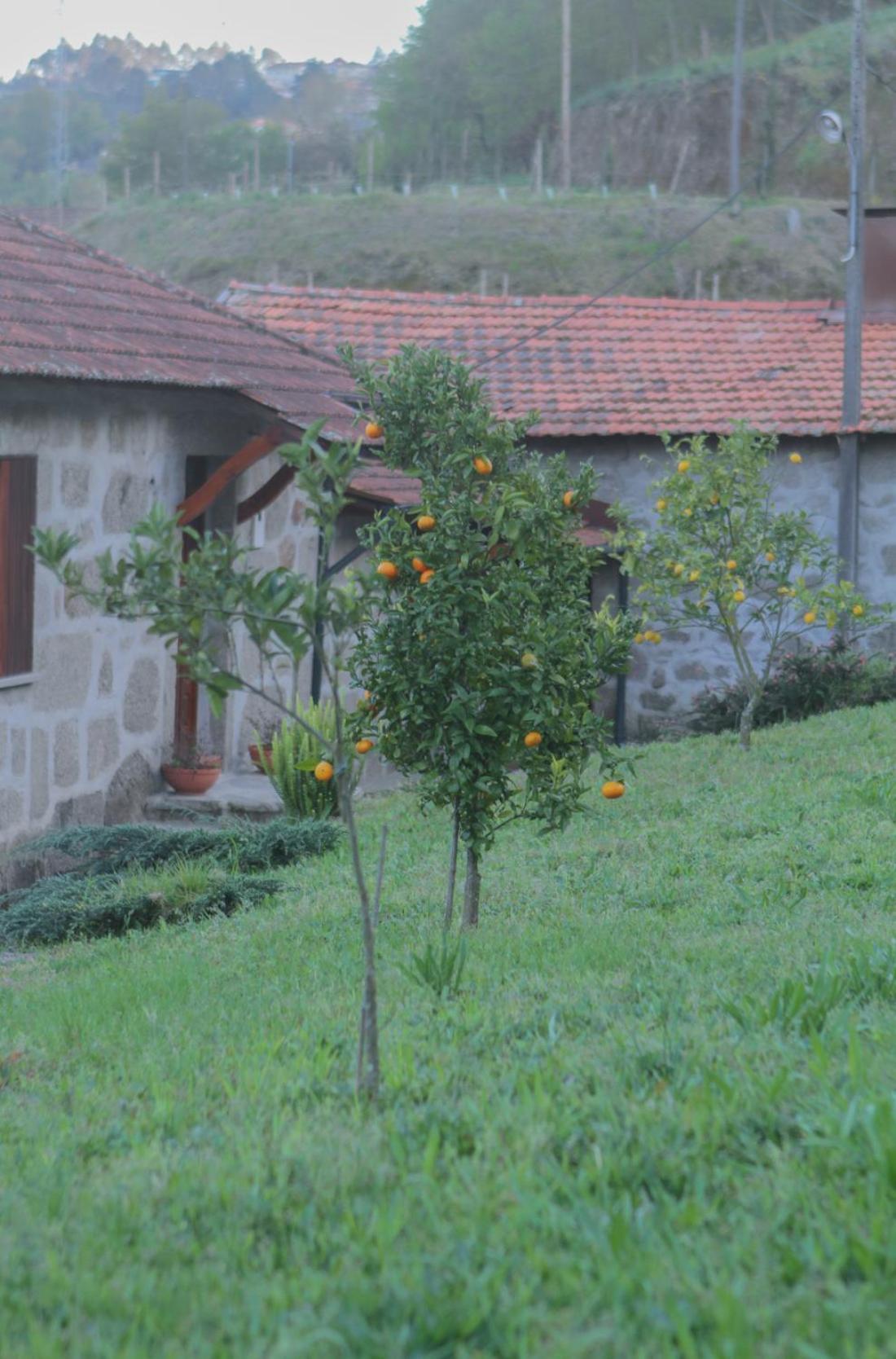 Hébergement de vacances The I - Uma Quinta Deslumbrante Felgueiras