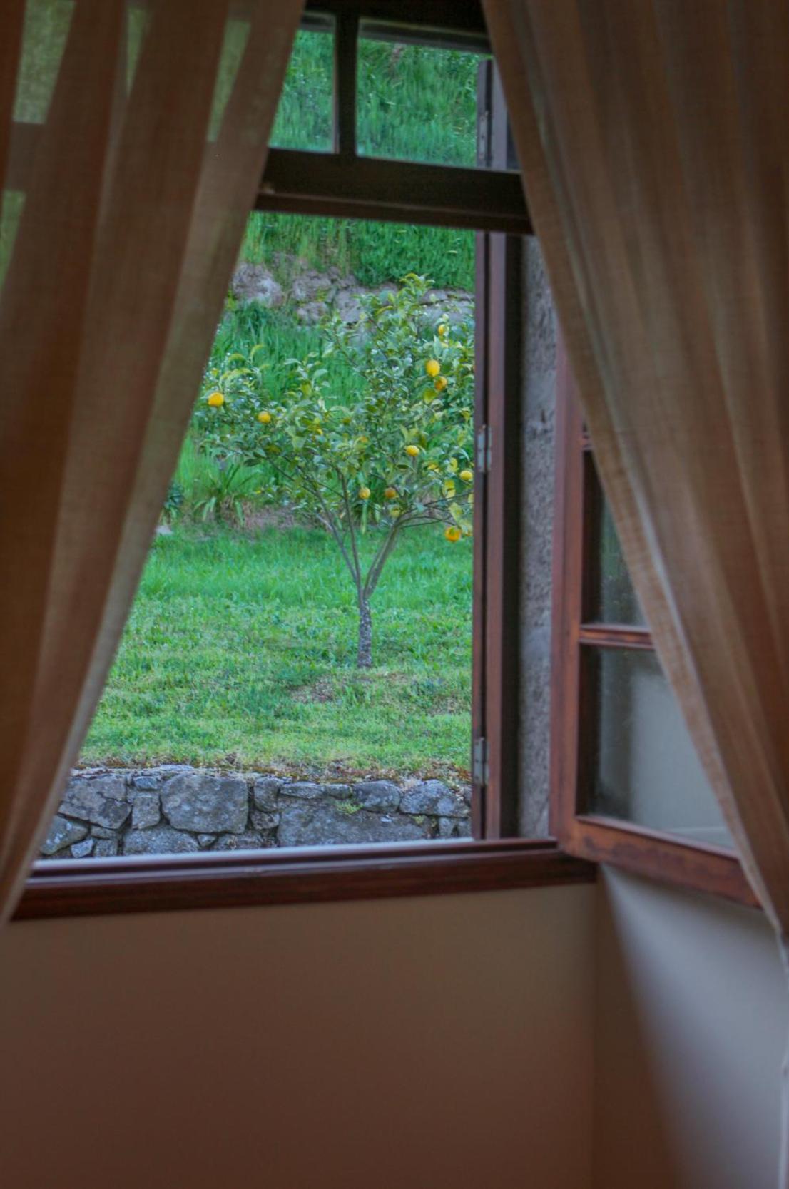 The I - Uma Quinta Deslumbrante Hébergement de vacances Felgueiras