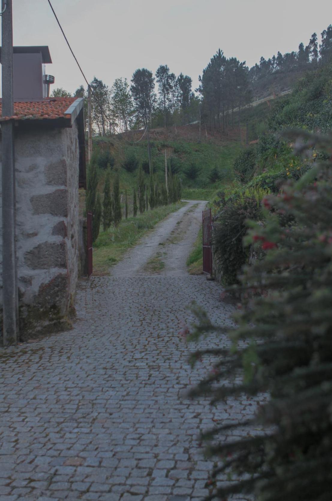 The I - Uma Quinta Deslumbrante Hébergement de vacances Felgueiras